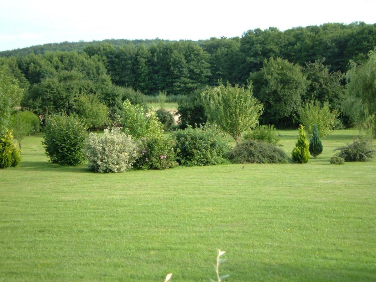 Le Lansquenet Villa Rorbach-les-Dieuze Exterior photo
